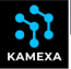 top artificial intelligence company | Kamexa 