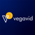 Artificial Intelligence Developers | Vegavid Technology       