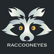 Logo of Raccoon Eyes: SEO Services Company in Canada 