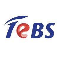 Logo of Total eBiz Solutions: Professional Artificial Intelligence Services Company in Singapore