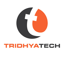 artificial intelligence development company in India  | Tridhya Tech 